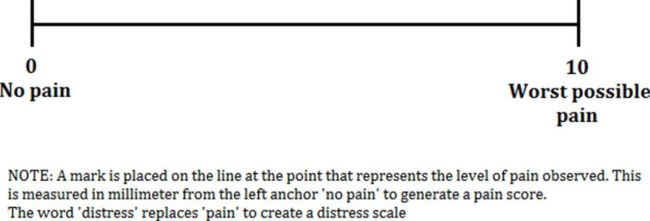 Pain scale2